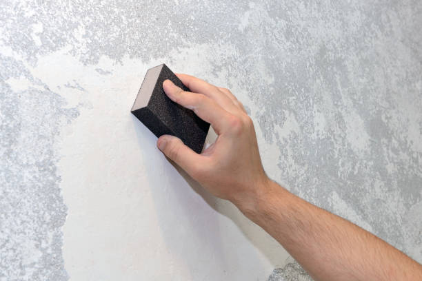 Best Real Estate Mold Inspection  in Round Lake, IL