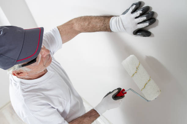 Best Air Quality Testing for Mold Spores  in Round Lake, IL