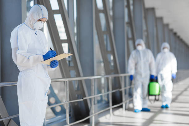 Best Biohazard Mold Removal  in Round Lake, IL