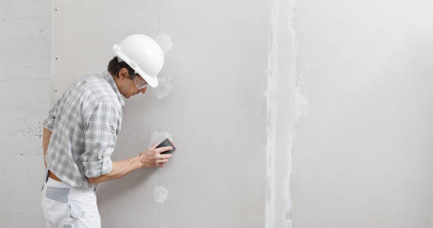 Mold Documentation for Insurance Claims in Round Lake, IL