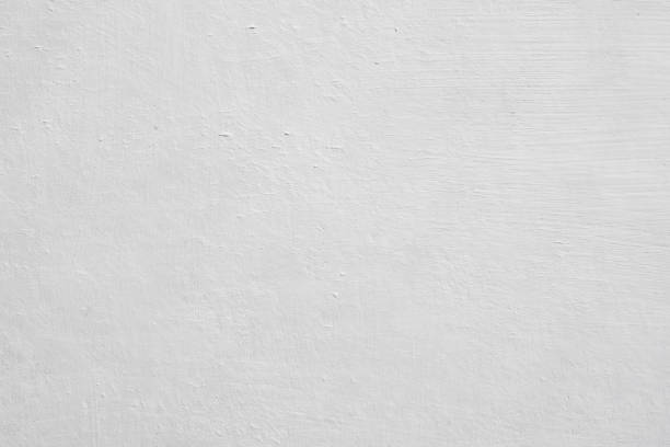 Best Mold Odor Removal Services  in Round Lake, IL